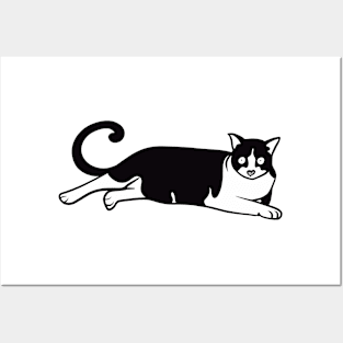 Cow tabby Cat Posters and Art